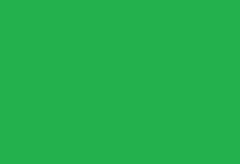 portfolio single item image