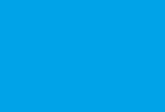 portfolio single item image